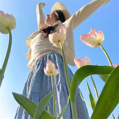 玻璃花与毁坏的世界