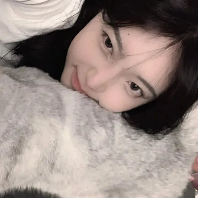 竞选风云