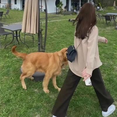 达令我的爱